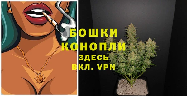 гашик Ростов