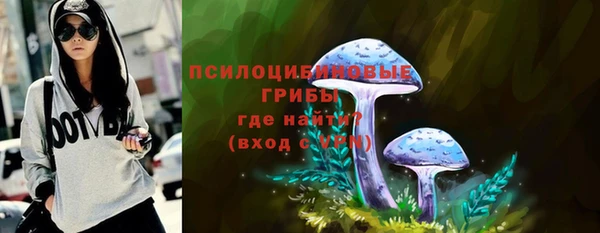 гашик Ростов