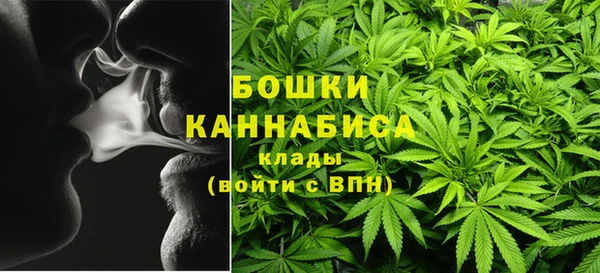 ГАЛЛЮЦИНОГЕННЫЕ ГРИБЫ Абаза