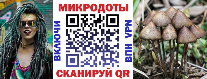 это телеграм  Егорьевск  Псилоцибиновые грибы Magic Shrooms  мега tor 
