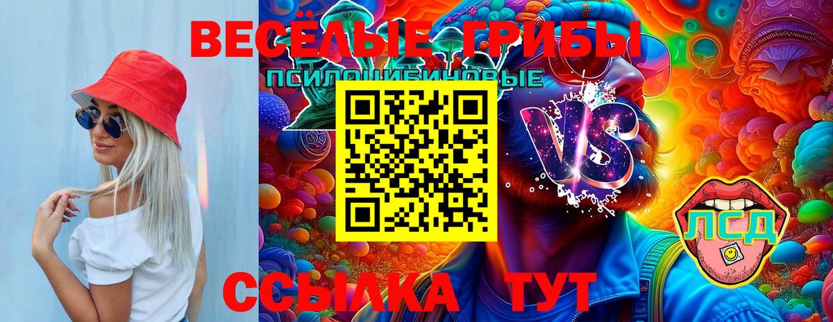 Галлюциногенные грибы GOLDEN TEACHER Егорьевск