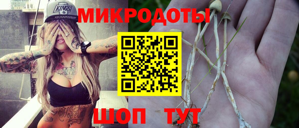 Псилоцибиновые грибы Cubensis  Вход с VPN  цена наркотик  Егорьевск 